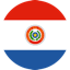 Flexnet Paraguay